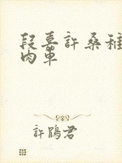 段嘉许桑稚浴室肉车