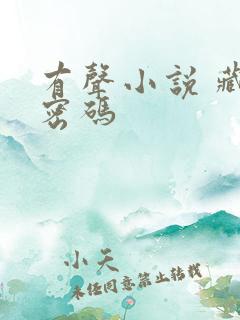 有声小说 藏地密码