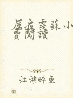 厉夜霆苏小汐免费阅读