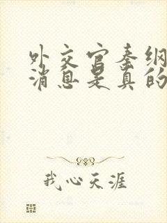 外交官秦纲最新消息是真的吗还是假的