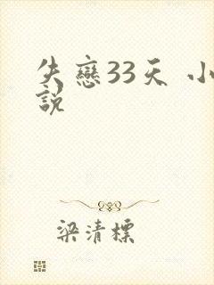 失恋33天 小说
