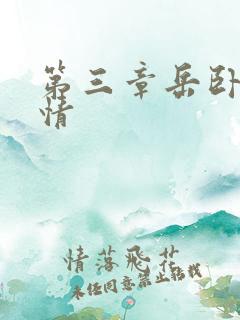 第三章岳卧室激情