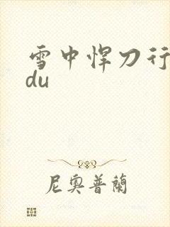 雪中悍刀行sodu