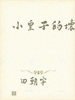 小皇子的坏王妃