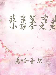 苏宁笙 霍止行小说全文免费阅读