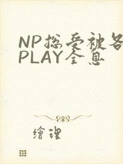 NP总受被各种PLAY全息