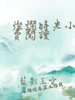 灿烂时光小说免费阅读