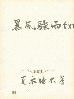 暴风骤雨txt