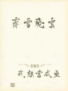 霁雪飞云