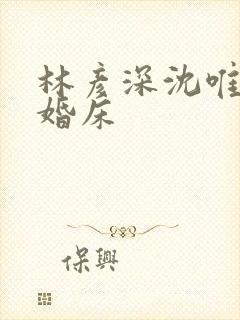 林彦深沈唯赖上婚床