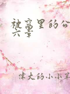 被窝里的公息第六章