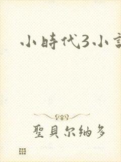 小时代3小说