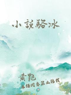 小说骆冰
