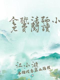 全职法师小说 免费阅读