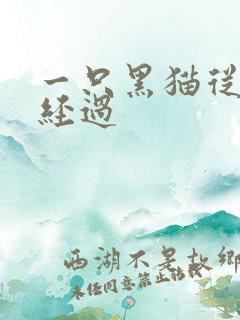 一只黑猫从眼前经过