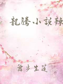 龙腾小说辣文网