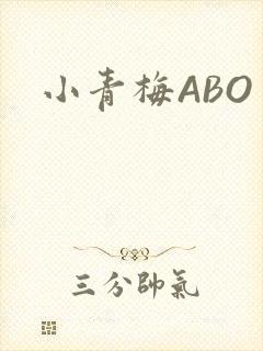 小青梅ABO