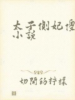 太子侧妃傻乎乎小说