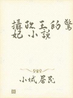 摄政王的惊世嫡妃 小说