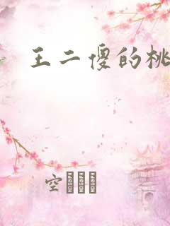 王二傻的桃花运