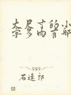 大尺寸的小黄说字多肉有哪些