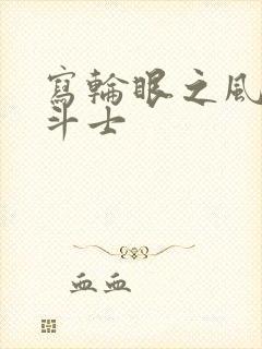 写轮眼之风流圣斗士