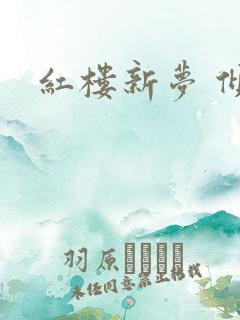 红楼新梦 倾雅