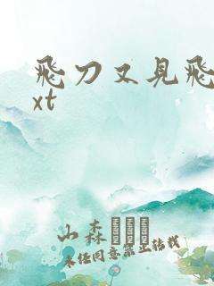 飞刀又见飞刀txt