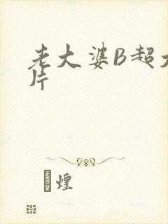 老大婆B超大图片