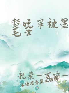 楚晚宁被墨燃塞毛笔