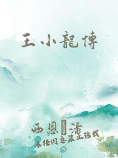 王小龙传
