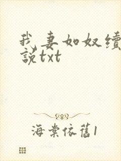 我妻如奴续写小说txt