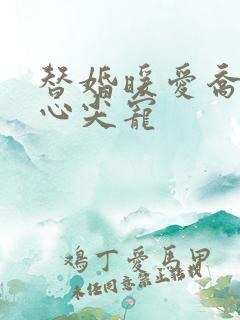 替婚暖爱乔少的心尖宠