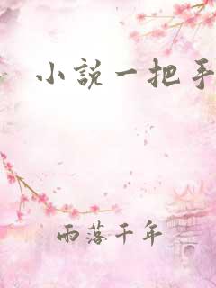小说一把手