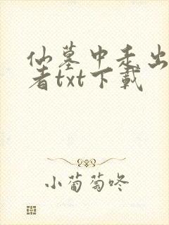 仙墓中走出的强者txt下载