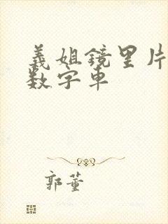 义姐镜里片微博数字车