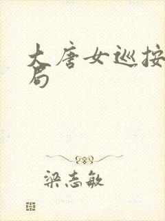 大唐女巡按大结局