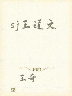 sj王道文