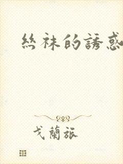 丝袜的诱惑小说