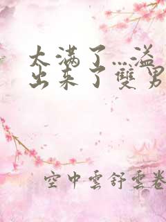 太满了...溢出来了双男动漫