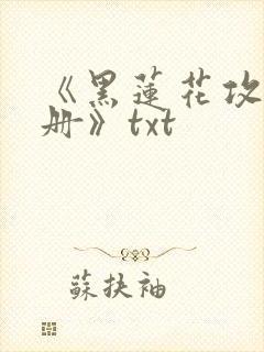 《黑莲花攻略手册》txt