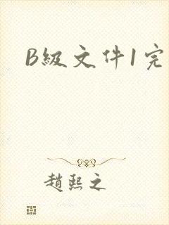 B级文件1完整