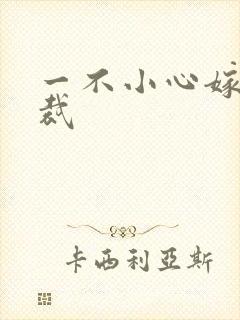 一不小心嫁给总裁