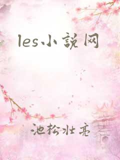 les小说网
