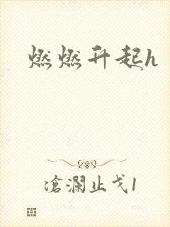 燃燃升起h