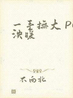 一手抚大 PO泱暖