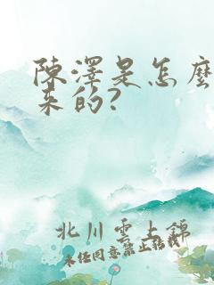 陈泽是怎么火起来的?