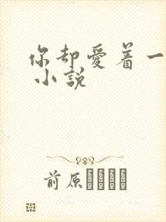 你却爱着一个他 小说