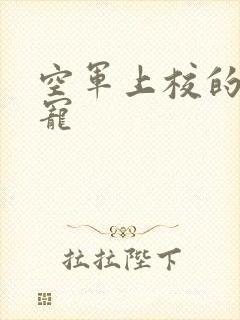 空军上校的邪魅宠