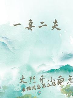 一妻二夫